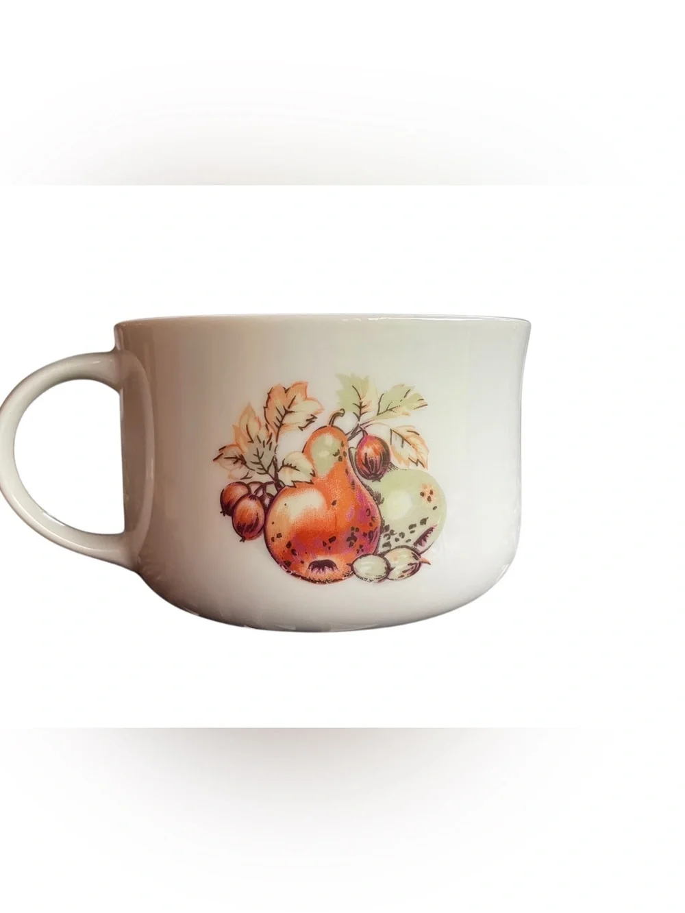 VTG MCM Autumn Harvest Fruit Soup Bowl Mug  70s Kitchen Retro